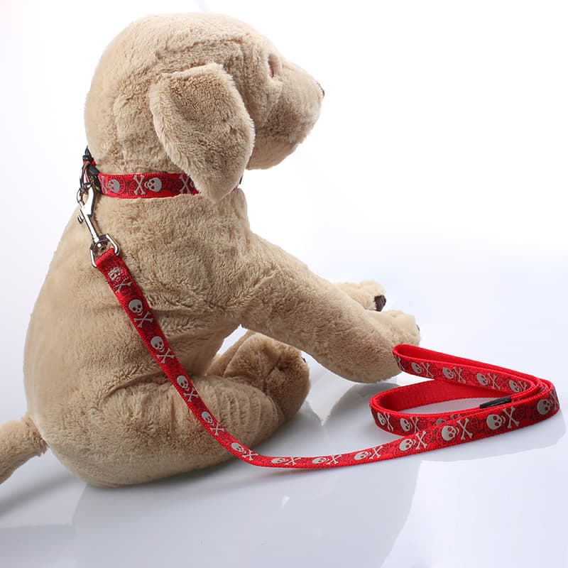 Best comfortable nylon dog leash with silkscreen print logo